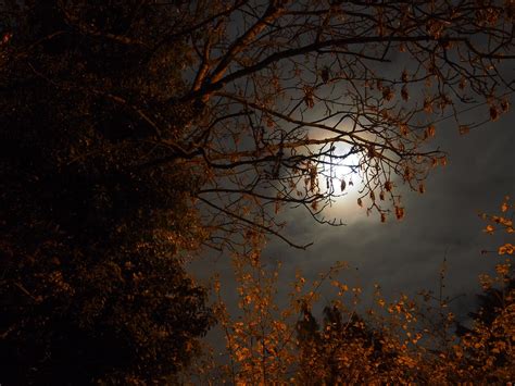 medlife moreni|️Incepând cu luna Noiembrie...